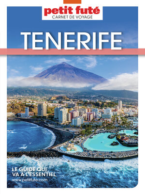 cover image of TÉNÉRIFE 2023 Carnet Petit Futé
